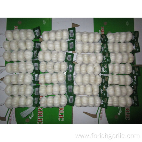 Cold Storage Pure White Garlic